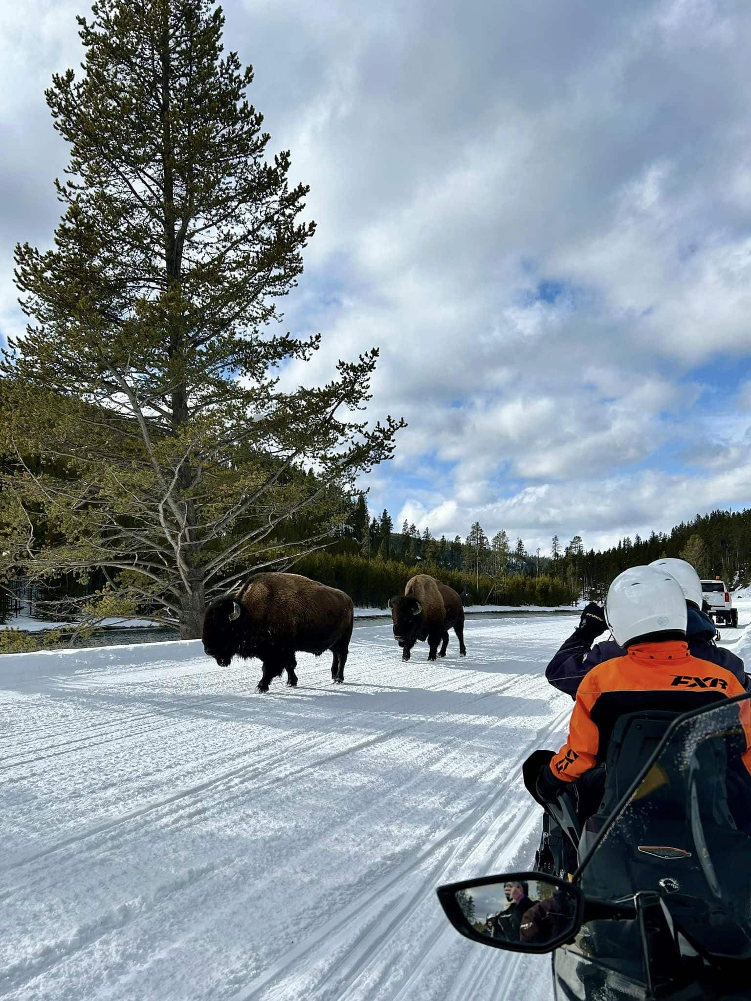 428712695_10161544296466963_664764469349125012_n What We Do